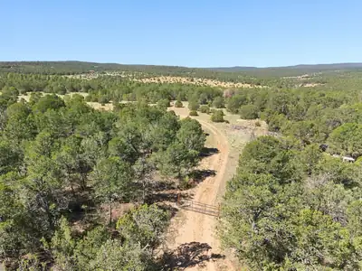 525 Nm 217 