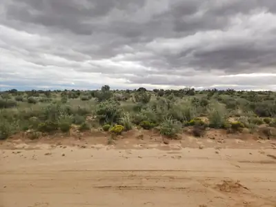 26th (U1, Rio Rancho, NM 87124 