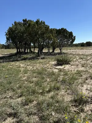 6 Sedillo Hill Place, Tijeras, NM 87059 