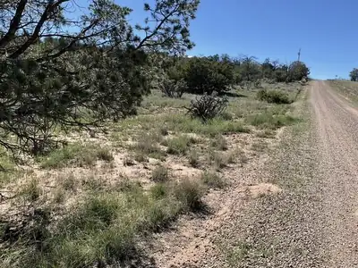 65 Las Colinas Road, Edgewood, NM 87015 