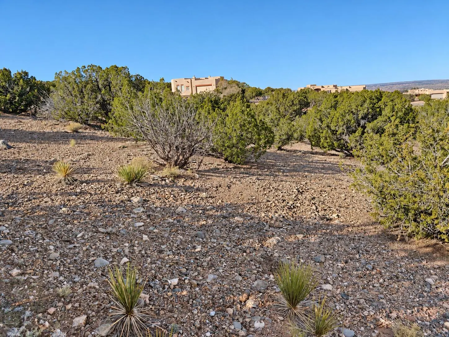 74 Desert Mountain Road, Placitas, NM 87043