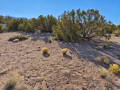74 Desert Mountain Road, Placitas, NM 87043 