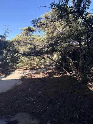 1415 Nemesia Place NE, Albuquerque, NM 87112 