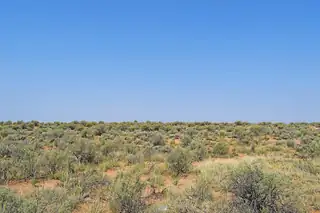 Lot 4 Rio Del Oro 13 