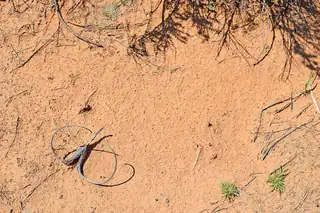 Lot 8 Rio Del Oro 12 