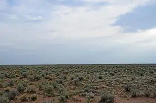 Lot 181 Rancho Rio Grande 15e 