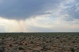 Lot 181 Rancho Rio Grande 15e 