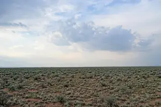 Lot 181 Rancho Rio Grande 15e 