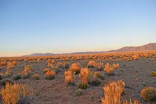 Lot 128 Rancho Rio Grande 14e 