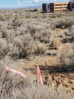 2217 Painted Hills Avenue NE 