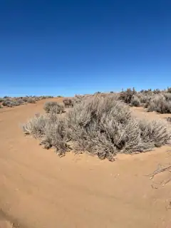 1821 Bruening Avenue NE 