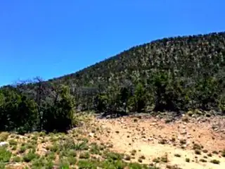 1158 Deer Canyon Trail 